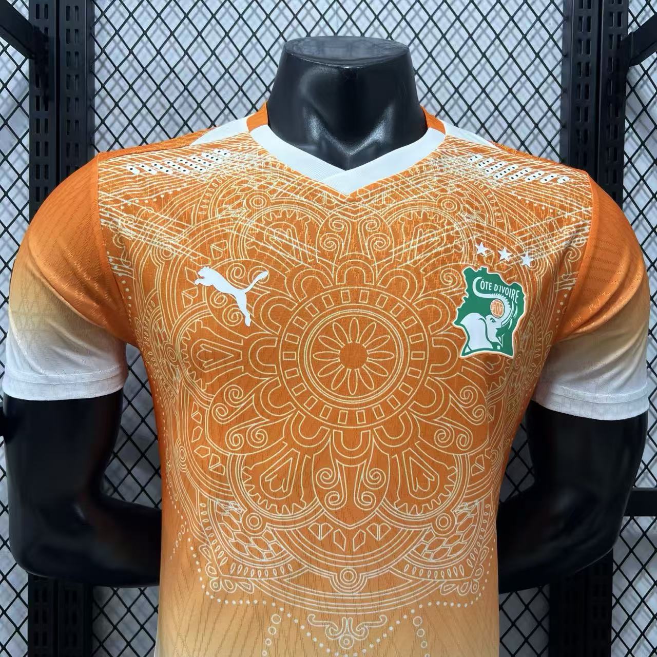 Player Version Côte d'Ivoire 2026 Special Jersey - Yellow