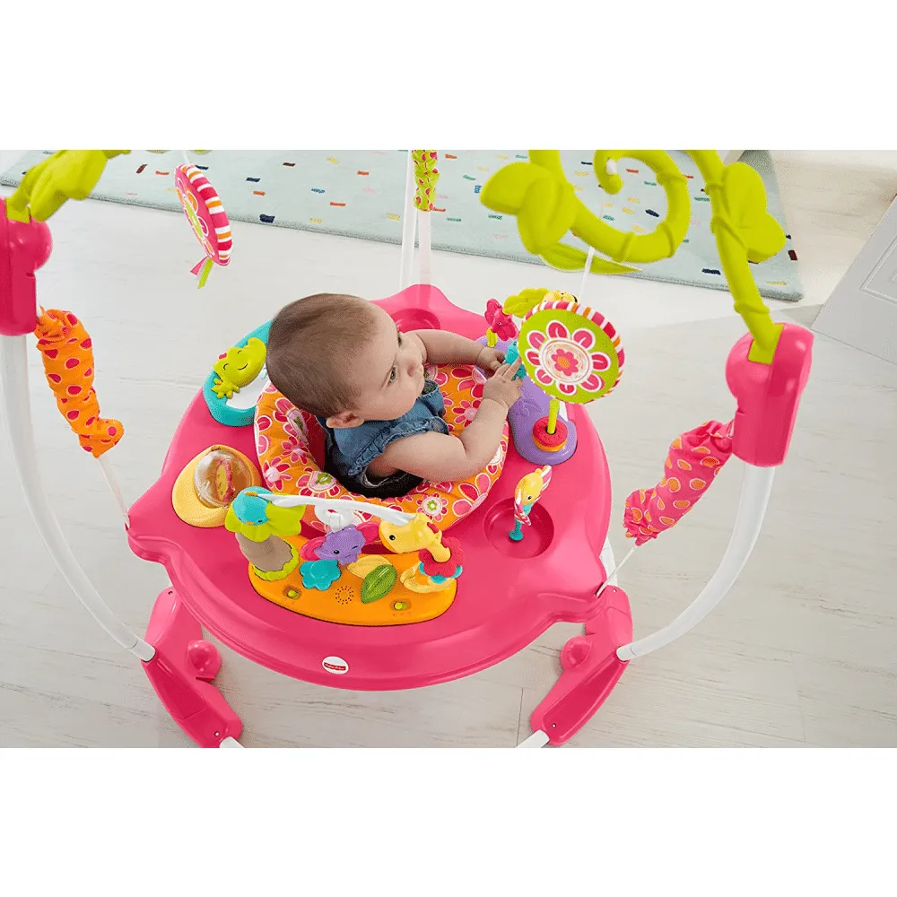 Fisher-Price Jumperoo, Pink Petals
