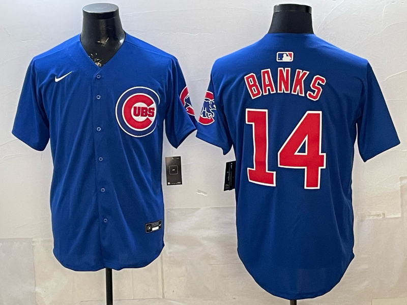 Men's Chicago Cubs Ernie Banks #14 Royal Alternate Replica Jersey