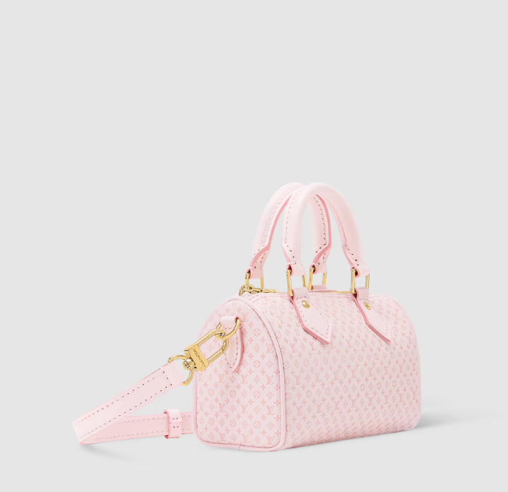 LOUIS VUITTON Nano Speedy