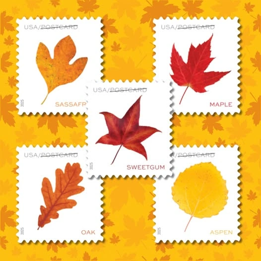 Vibrant Leaves Postcard Stamps 2025