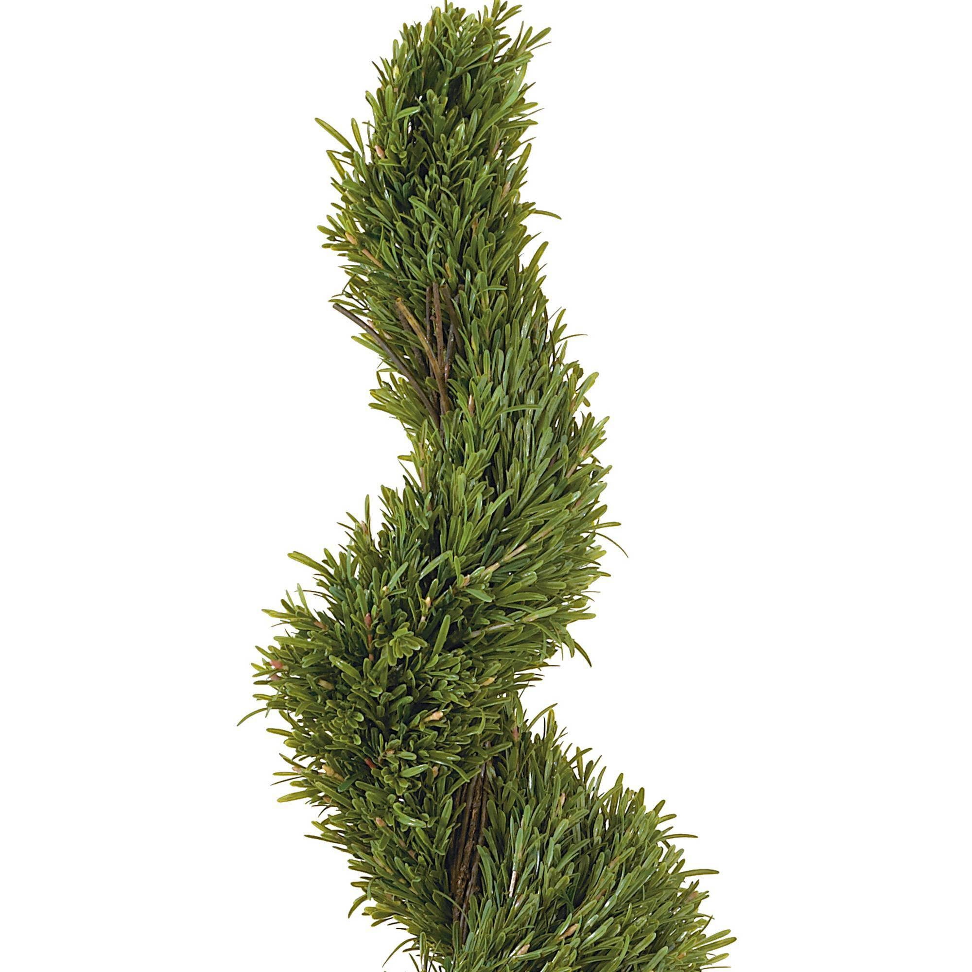 Nearly Natural 5-ft. Silk Spiral Rosemary Tree