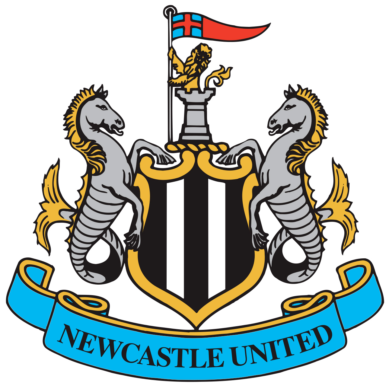 Newcastle United Jersey