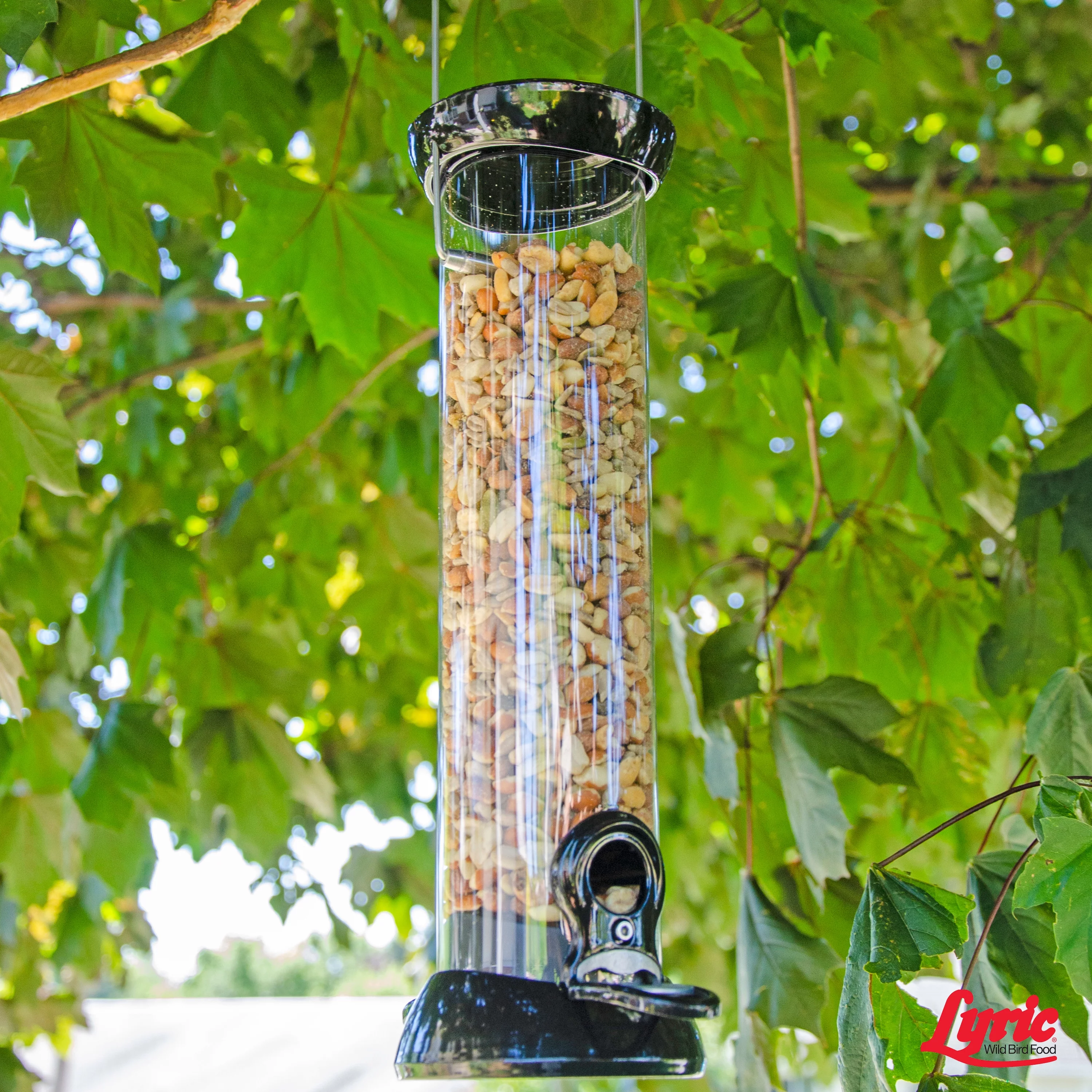 Lyric Delite Wild Bird Seed, No Waste Bird Food with Shell-Free Nuts & Seeds - 20 lb. Bag