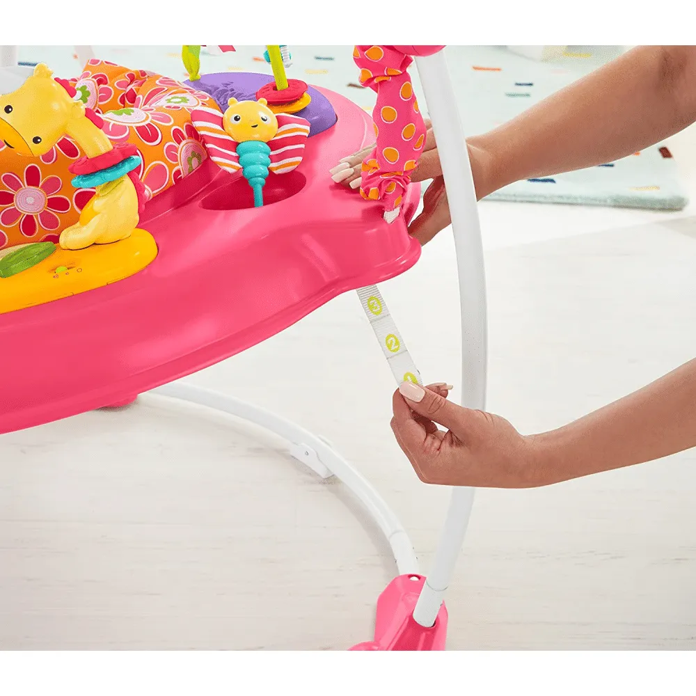 Fisher-Price Jumperoo, Pink Petals