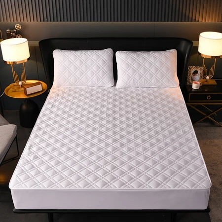 Single Piece Thickened Fitted Sheet Mattress Protector Anti-slip Fixed Dust-proof Bed Cover