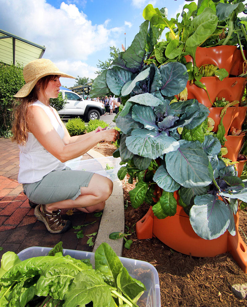 Vertical Garden Planter
