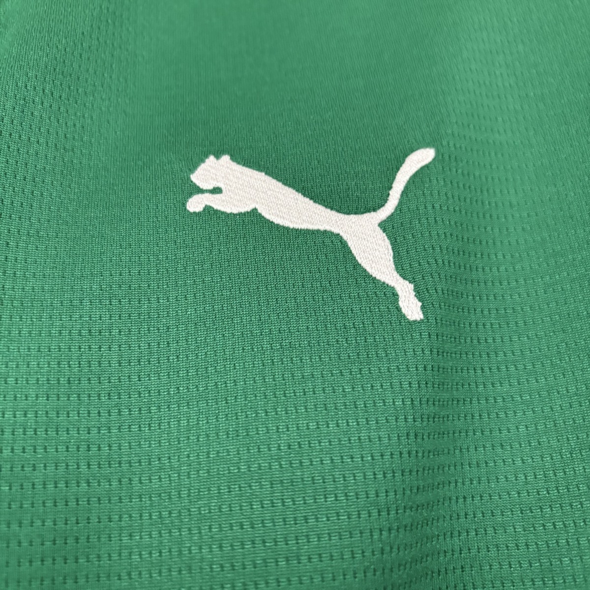 Palmeiras 26/27 Home Jersey S-4XL 5