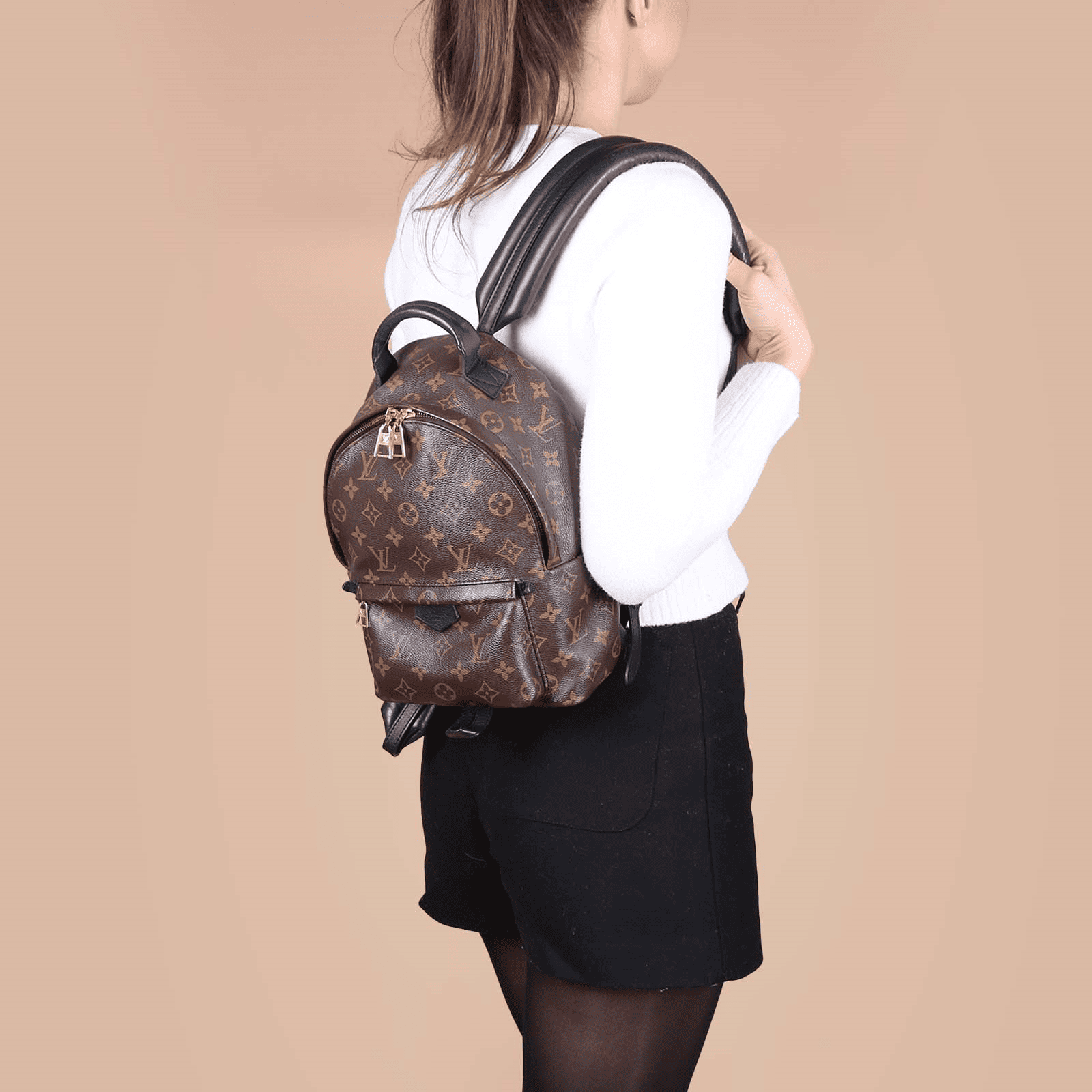Louis Vuitton Palm Springs Backpack PM Monogram Canvas – 22cm/8.7in