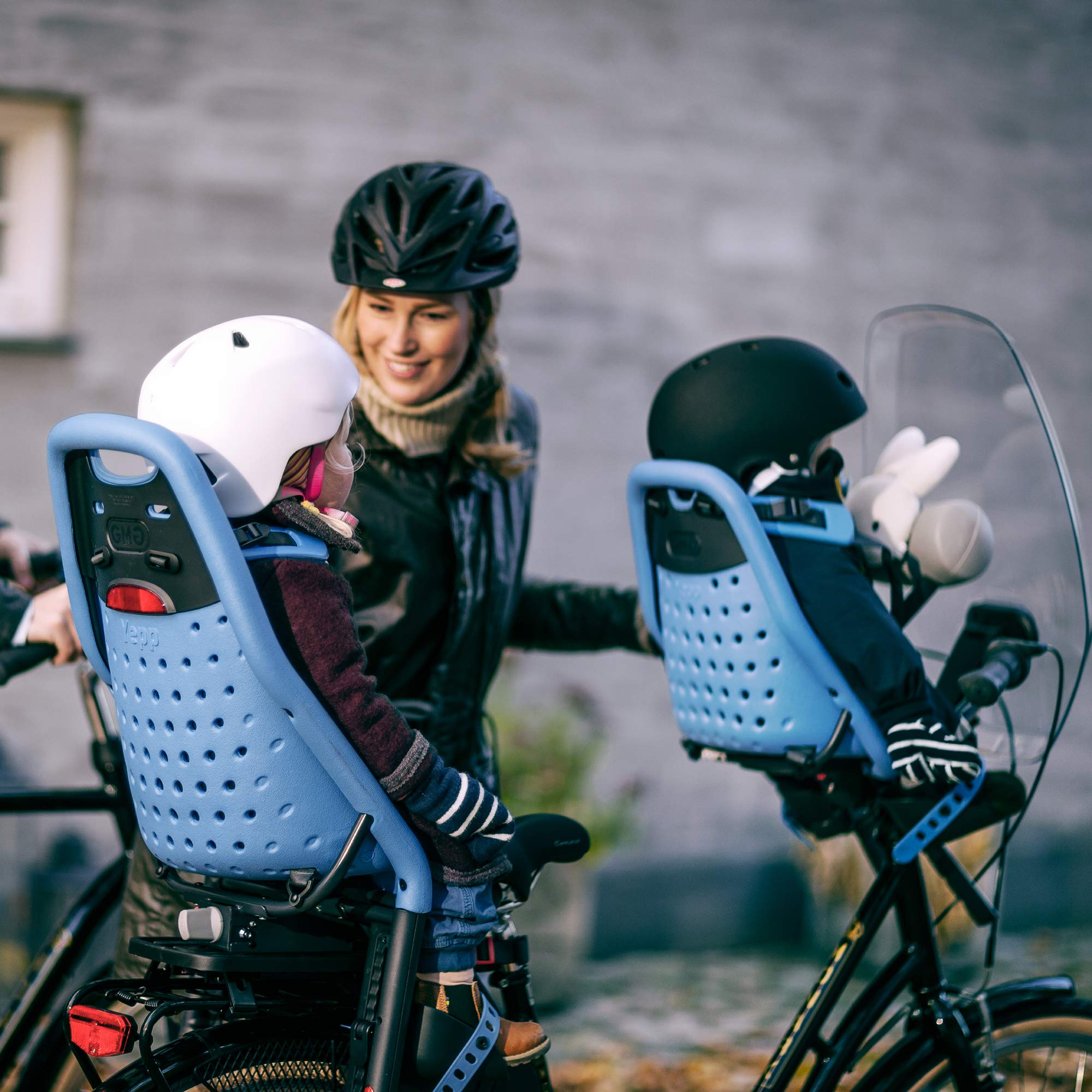Thule Yepp Maxi mount child