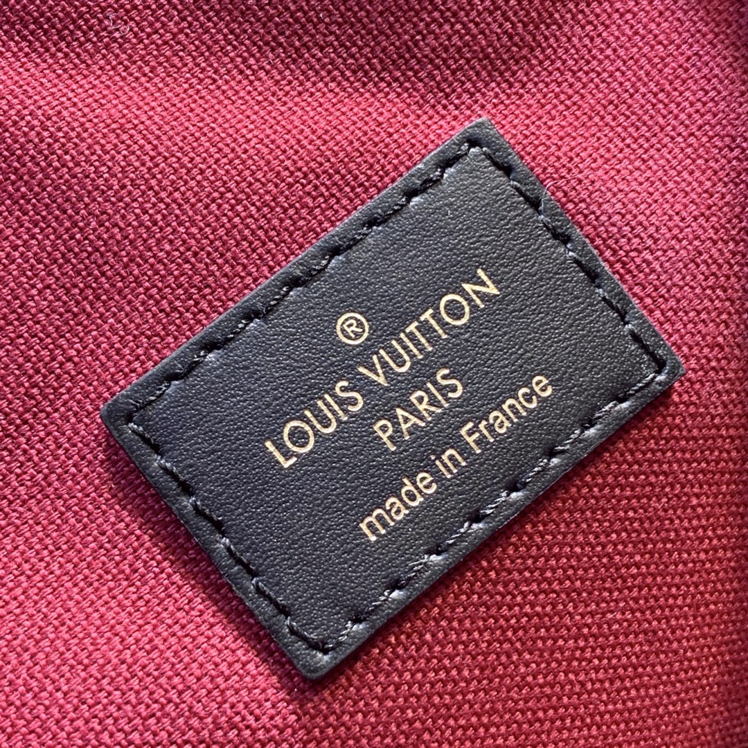 Louis Vuitton Montsouris Pm 27Cm M45515
