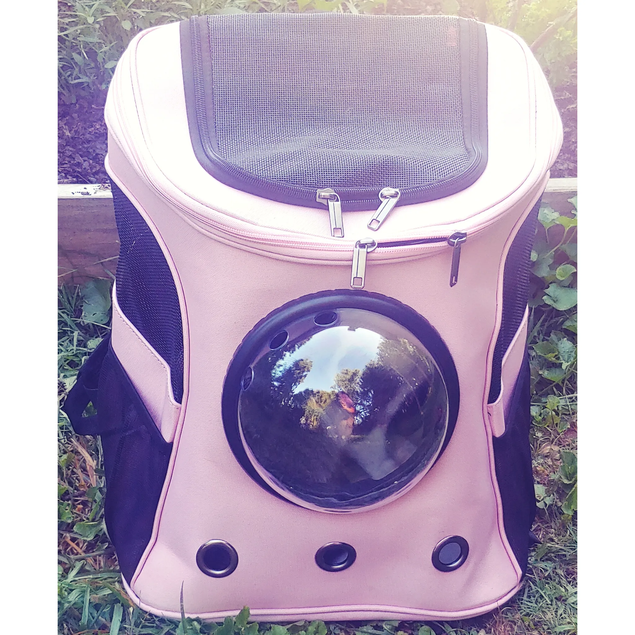 Adventure Pet Backpack Carriers - Large