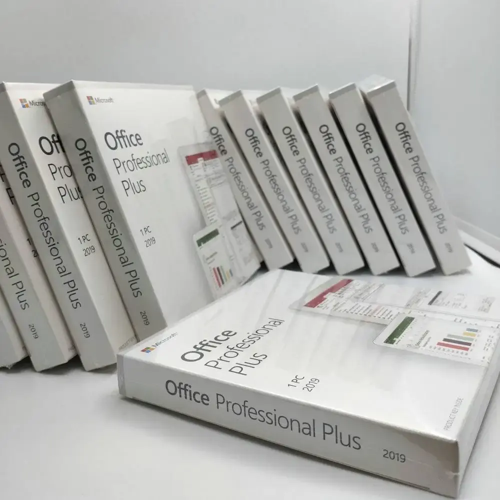Office 2019 Professional Plus DVD Box