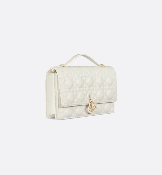 Dior Bag | My Top Handle