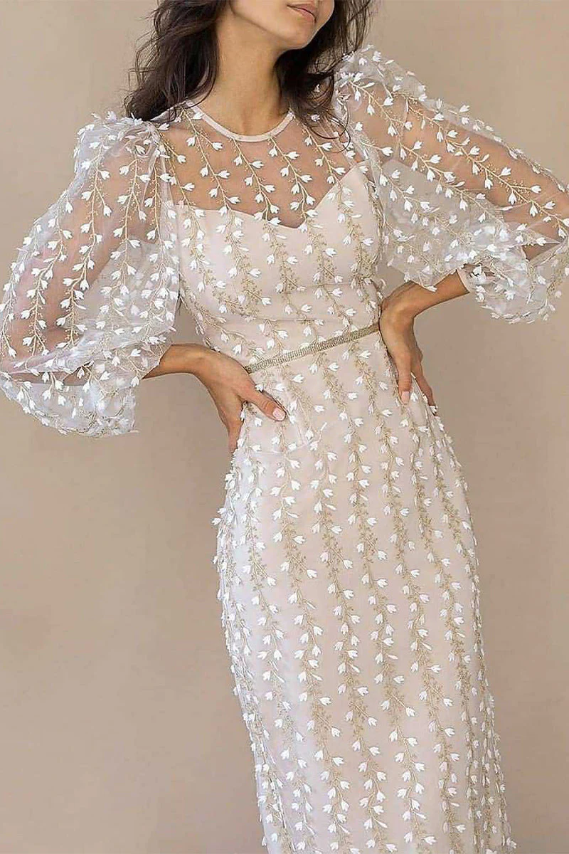 Elegant Embroidered Sheer Sleeve Bandage DressClistos