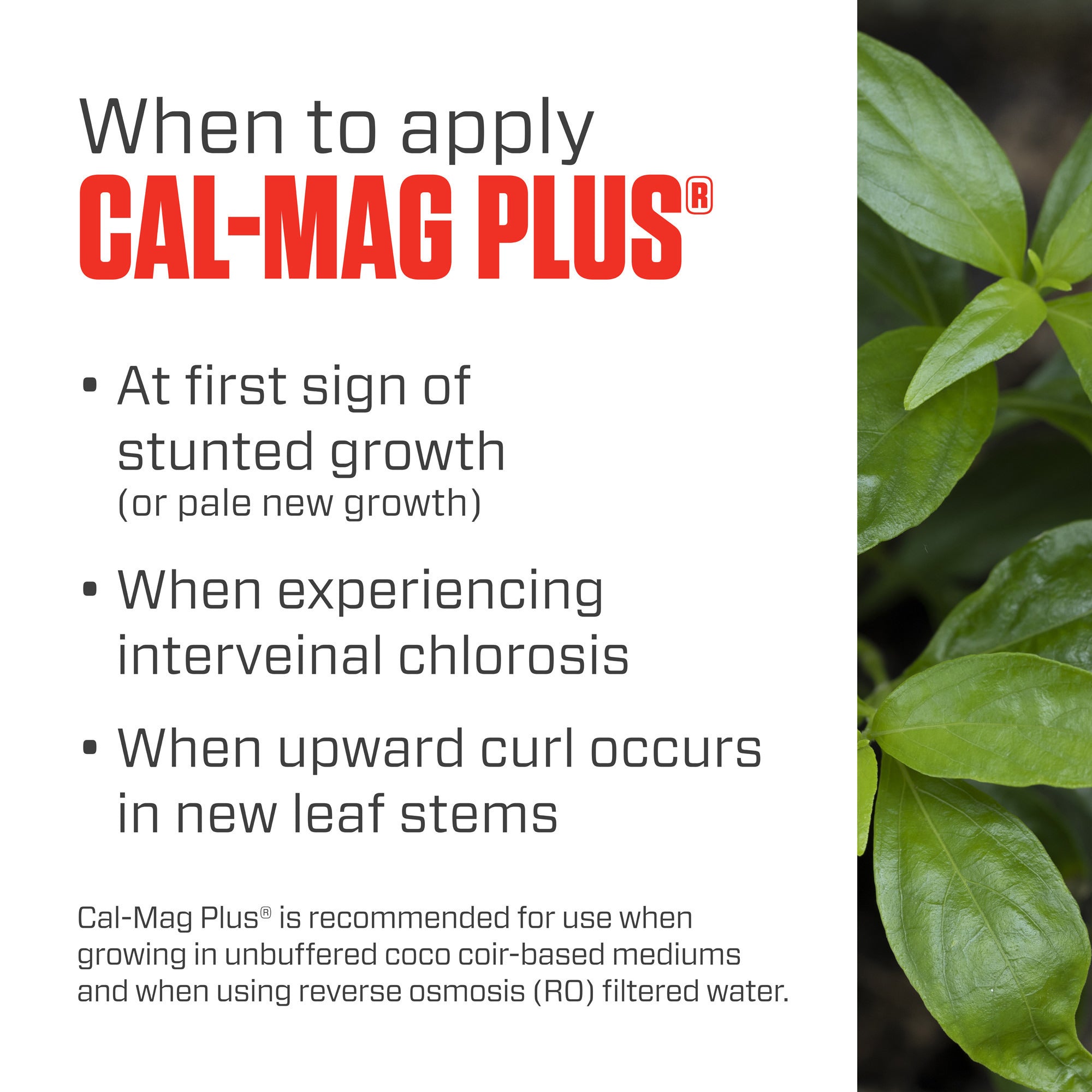 Botanicare Cal-Mag Plus, A Calcium, Magnesium, And Iron Plant Supplement, Plant Food, 32 oz