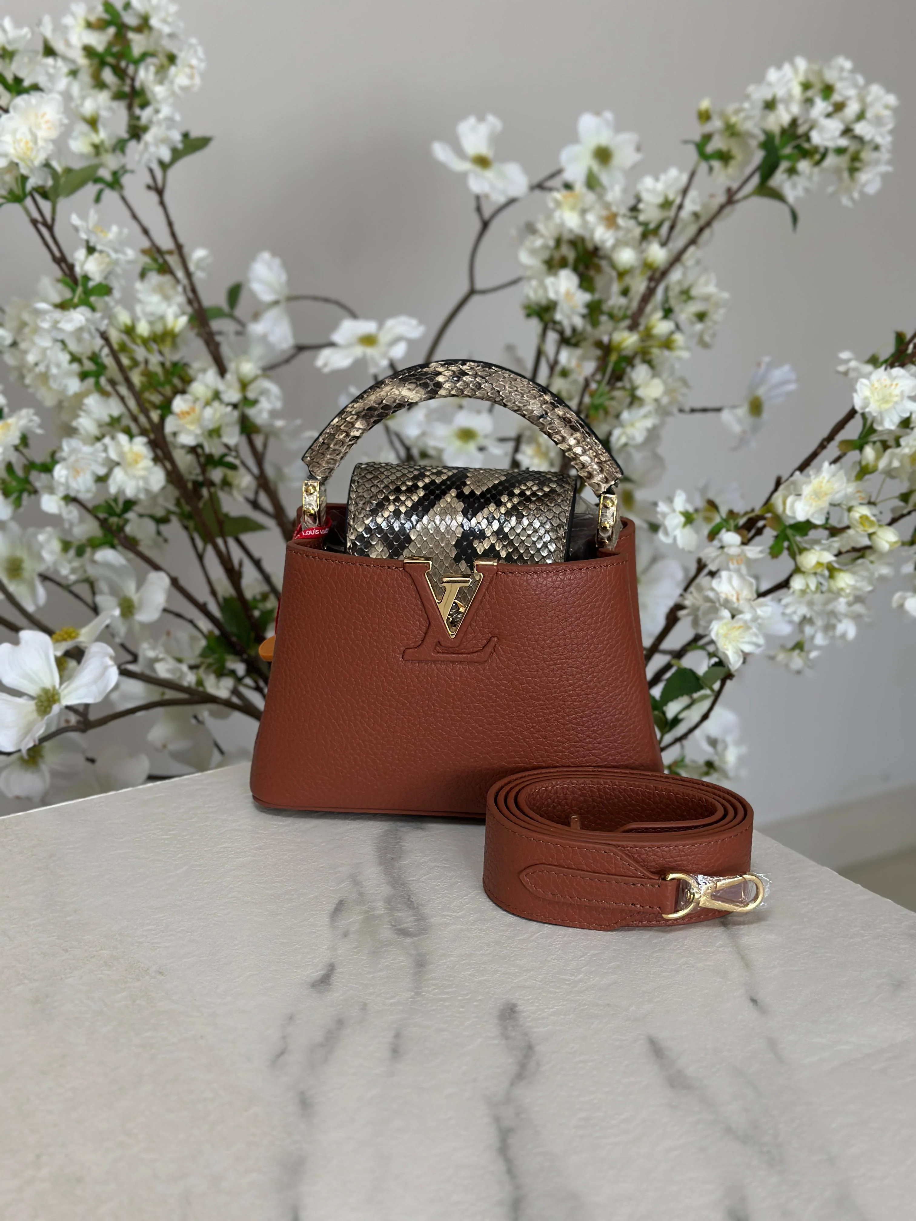 Louis Vuitton Bag | Ćapucines Brown Python