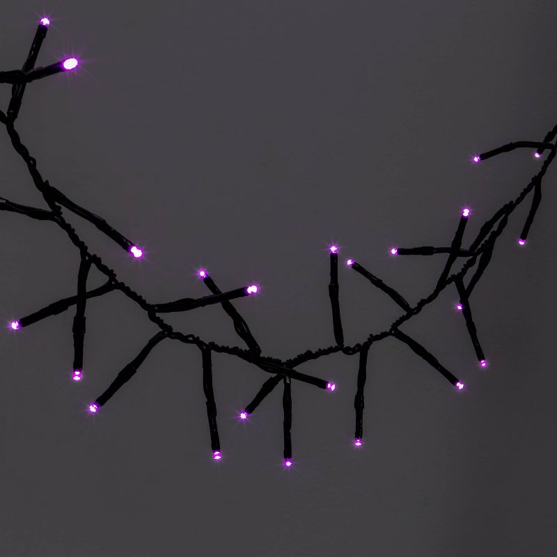 60ct LED Dewdrop Halloween Fairy String Lights Garland Purple - Hyde and EEK!Boutique™