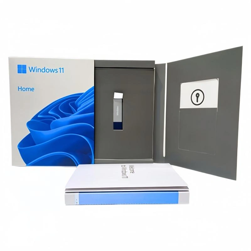 Windows 10 Home USB Box