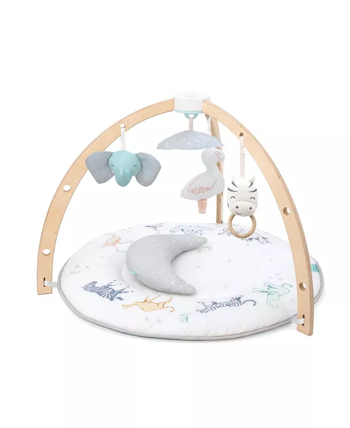 aden by aden + anais Baby Boys or Baby Girls Activity Gym, 6 Piece Set