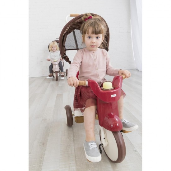 3-in-1 Foldable Tricycle with Canopy (Eternity Red)