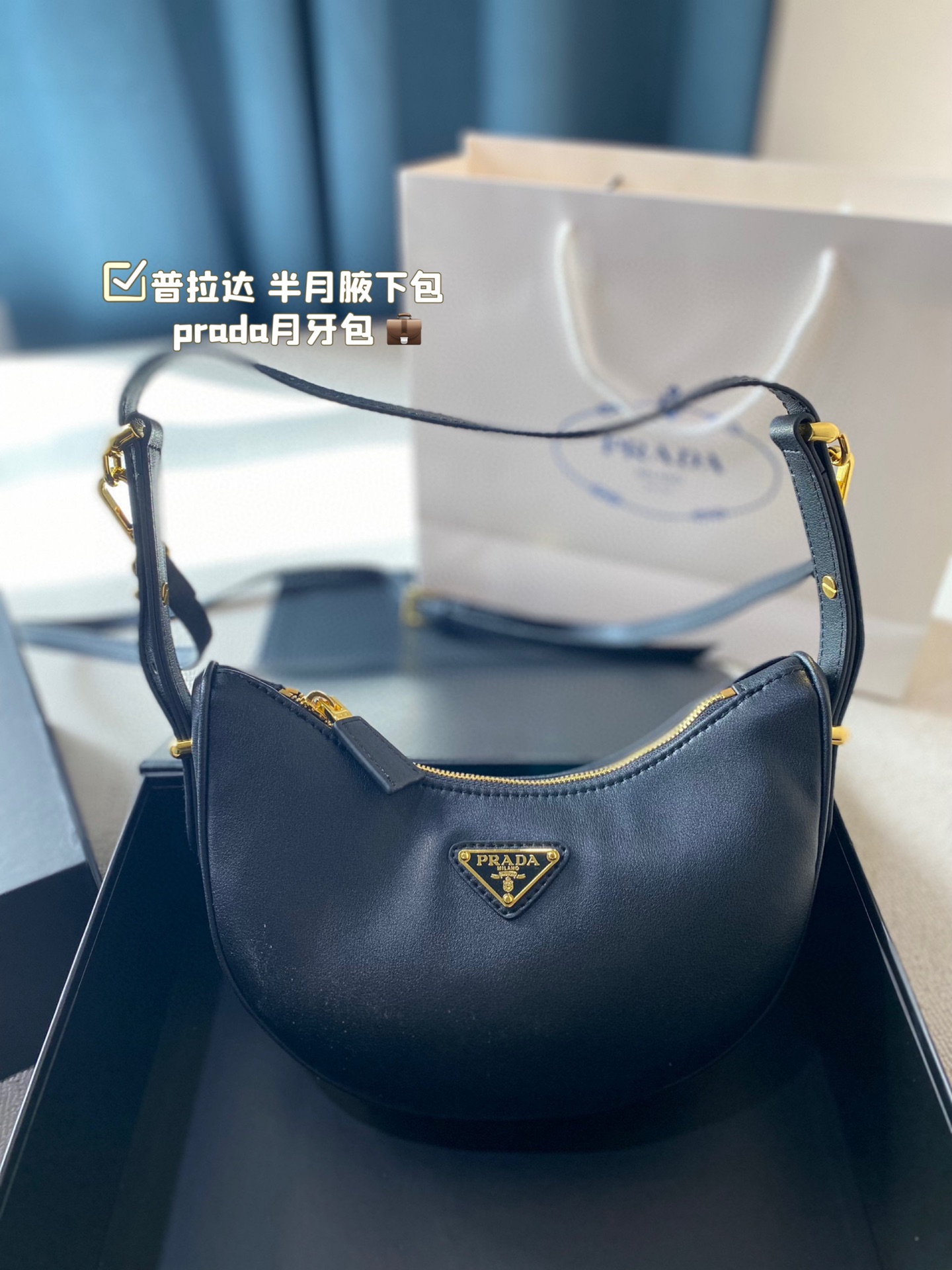 Prada leather Hobo moon bag - cnluxepick