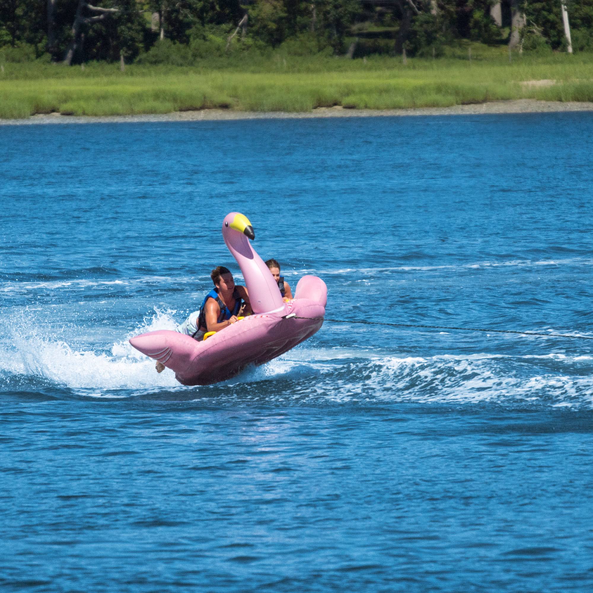 Solstice Flamingo Towable