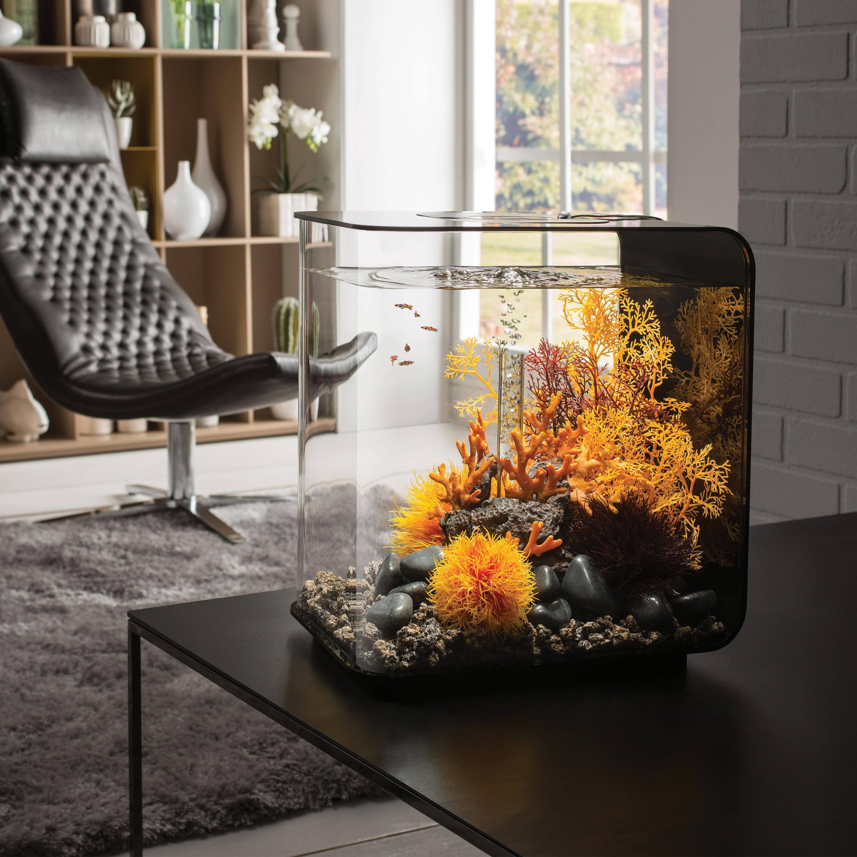 biOrb Flow 30 Aquarium MCR Light - 8 Gallon, White