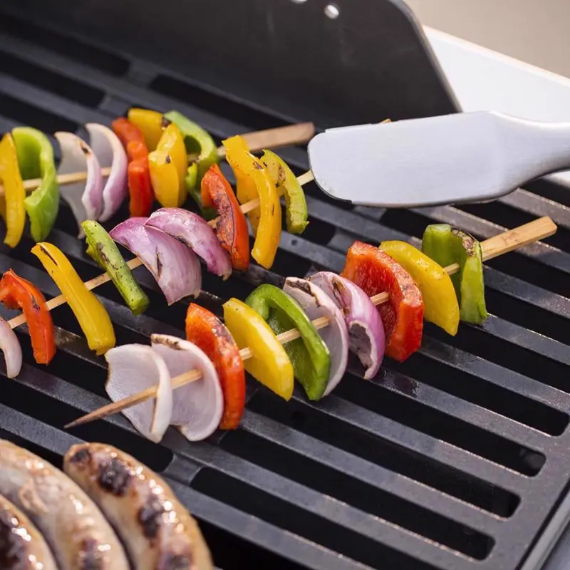Portable 2-Burner Liquid Propane Grill – Compact Black Outdoor Cooking Station