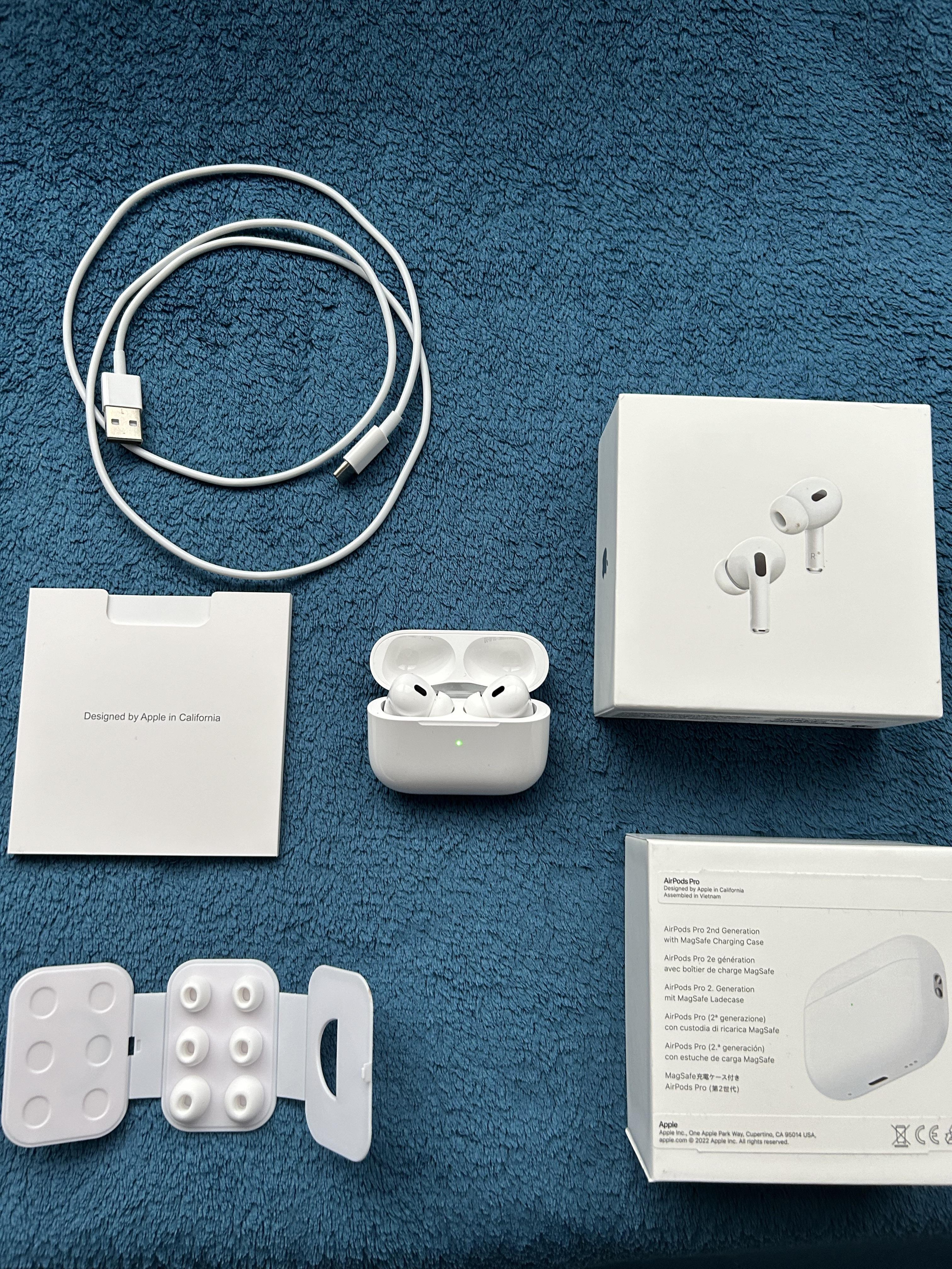Apple AirPods Pro (USB-C)