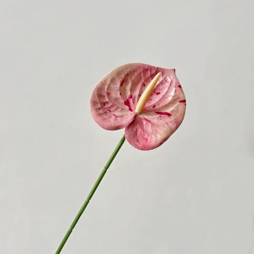 Artificial Anthurium Flowers