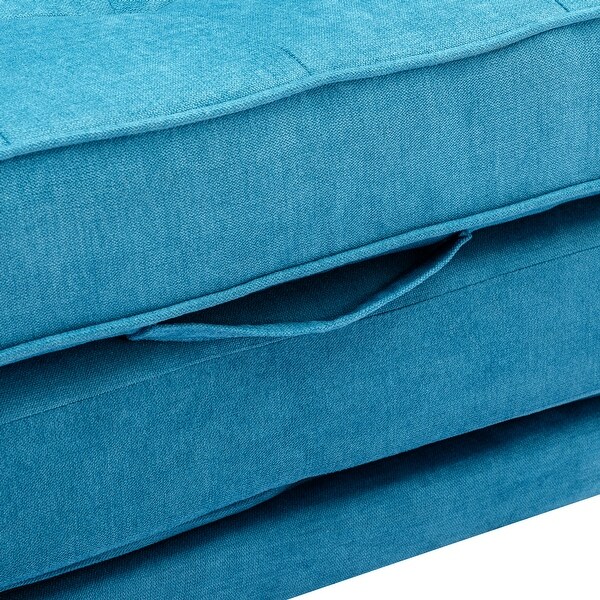 Loveseat Sofa with PullOut Bed