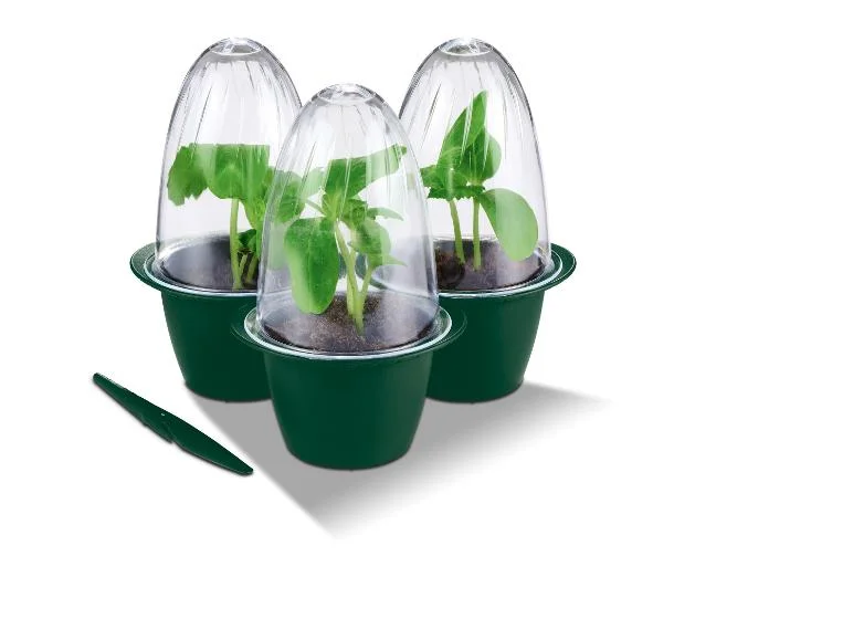 Mini-kit de pots de semis