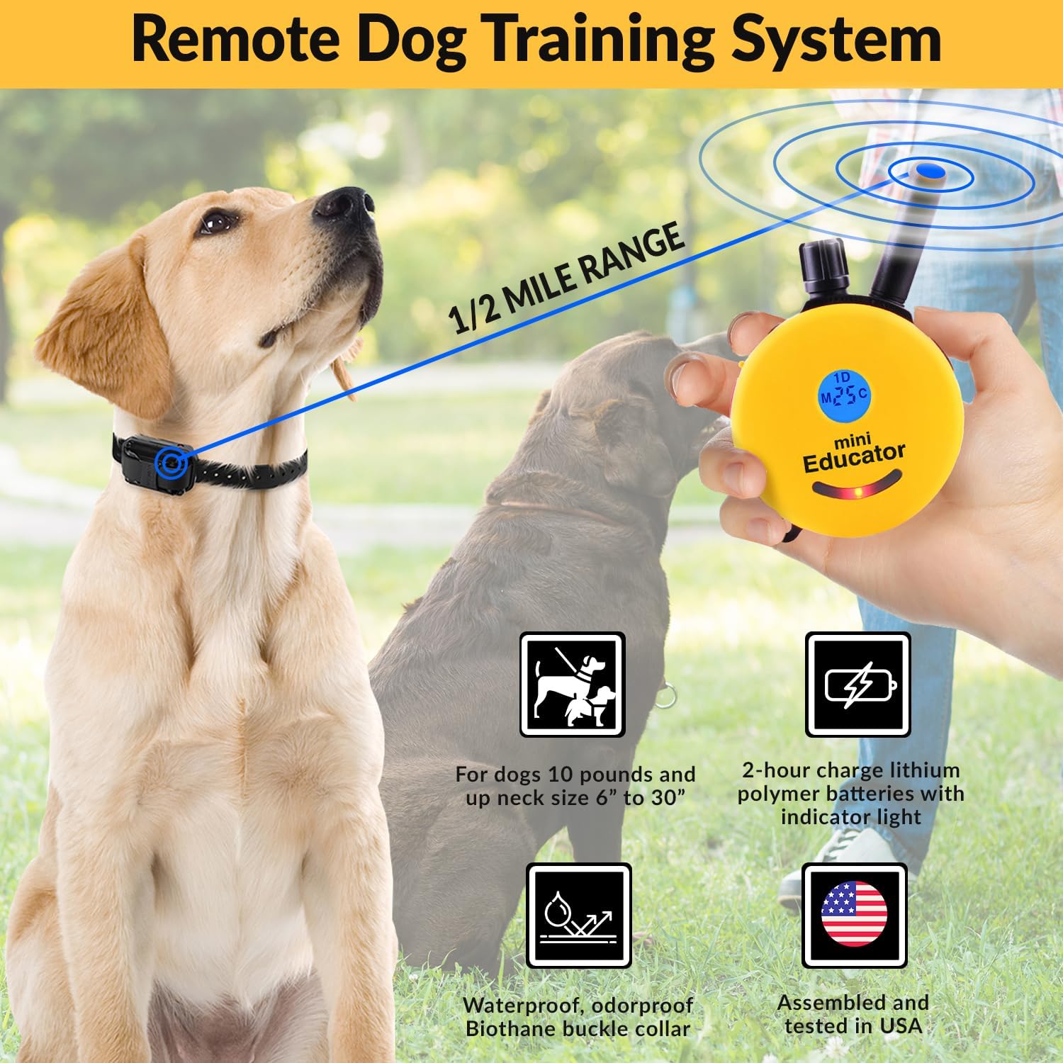 Humane Dog Training Collar with Remote, Features 100 Levels of Safe Stimulation, Tapping Sensation, Night Light, Waterproof, Rechargeable, 1 Mile 1 Dog, Black