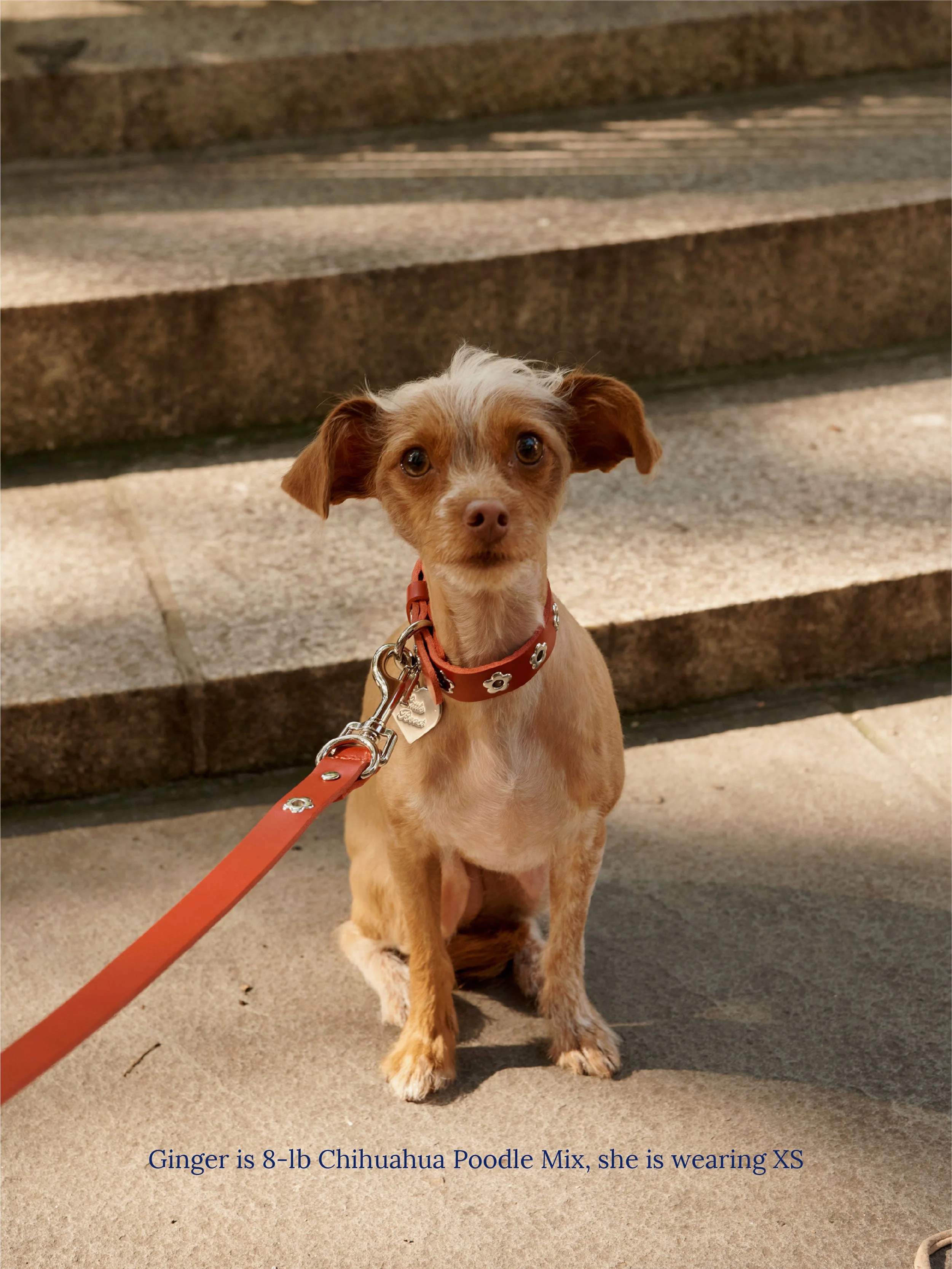 Ruby - Flower Power Collar