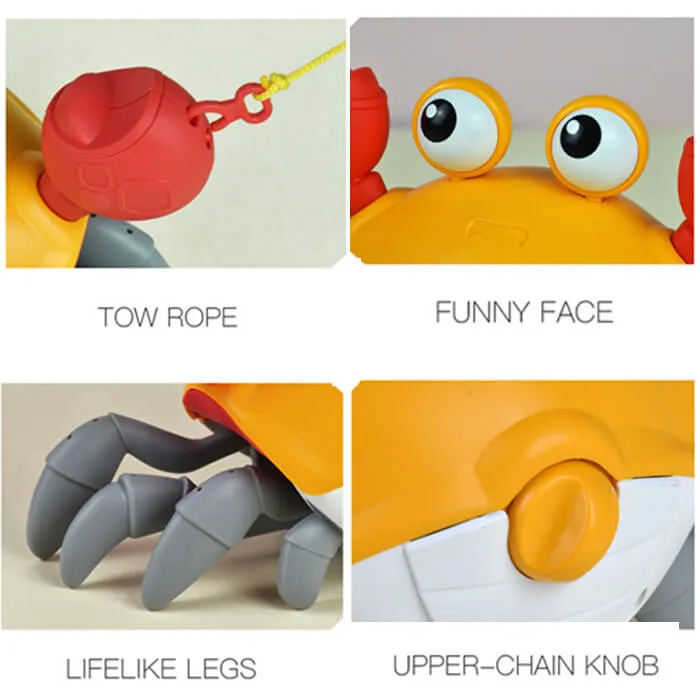Funny Walking Crab/ Snail/ Octopus Toy