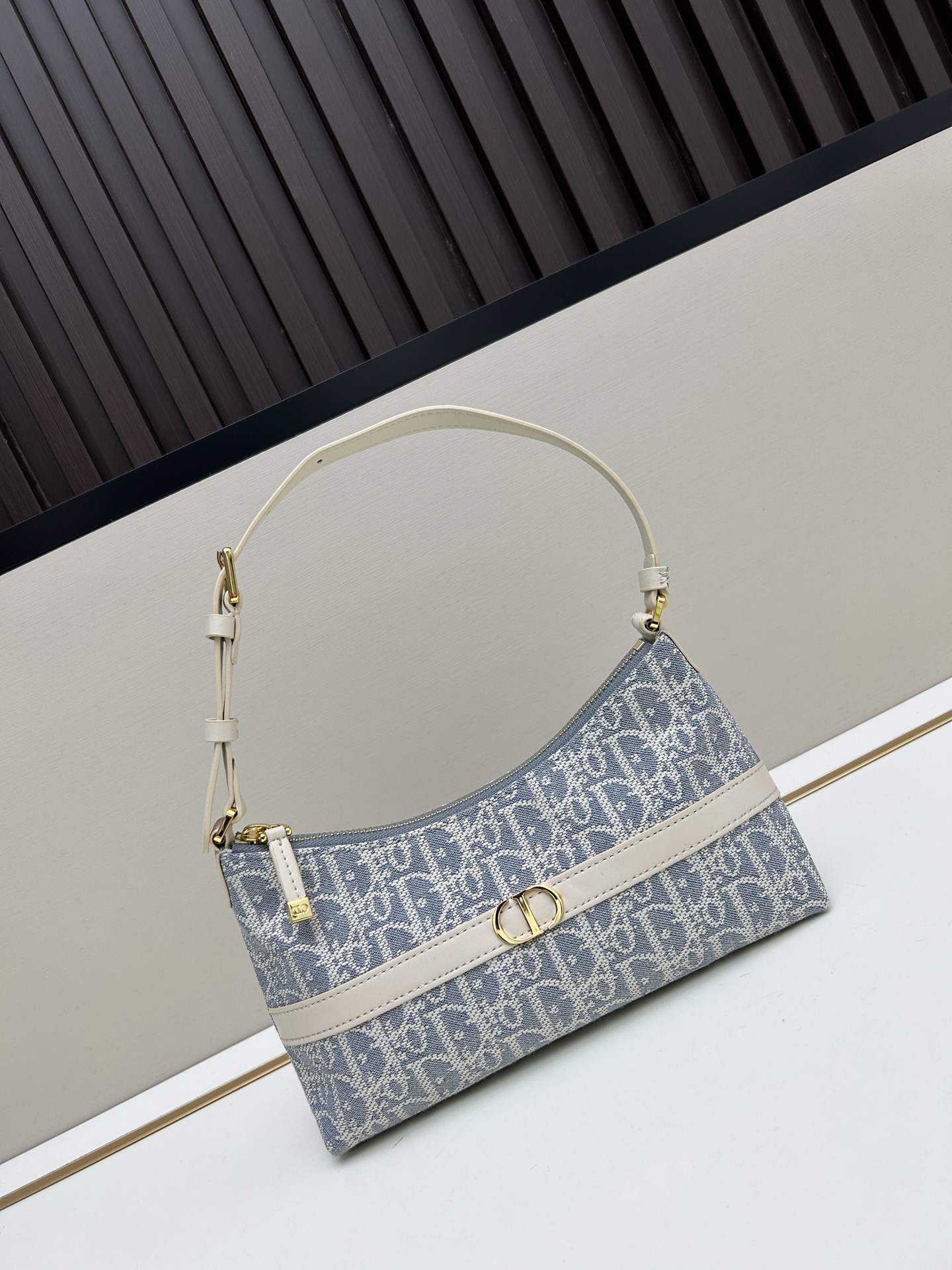 Dior oblique shoulder dumpling bag Dior - cnluxepick