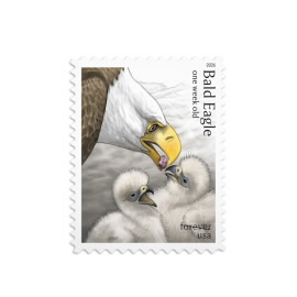 Bald Eagle: Hatchling to Adult Stamps - USPS