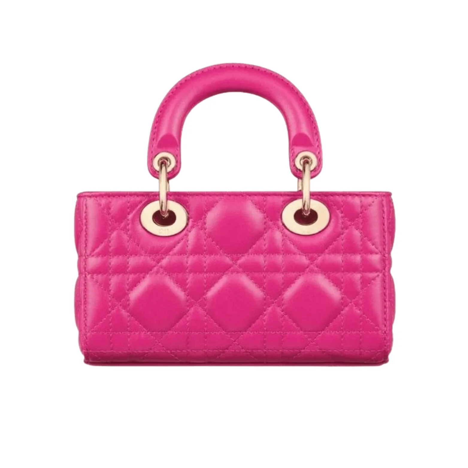 Dior Bag | Lady D-joy