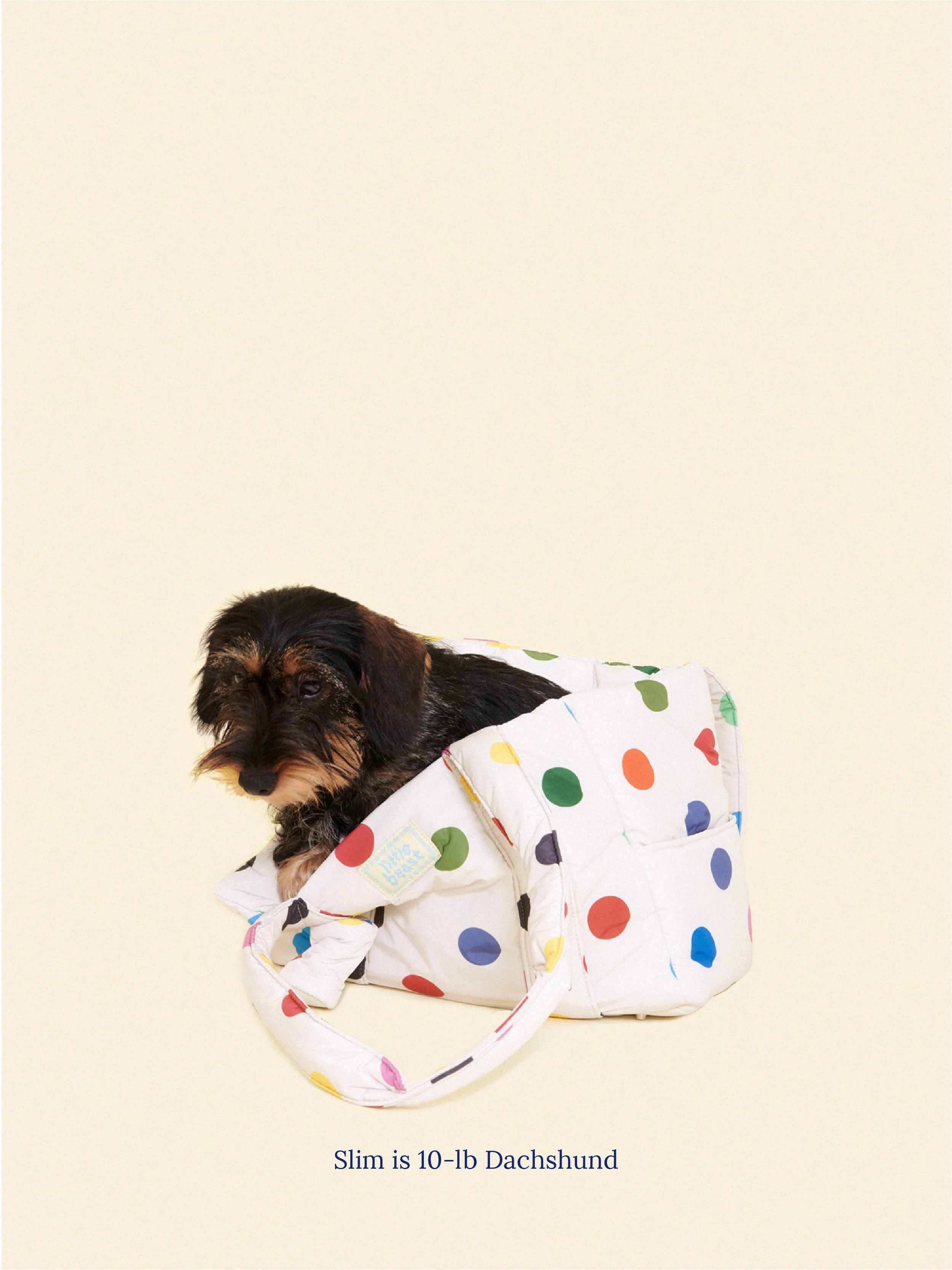 The Little Beast Carrier - Damien