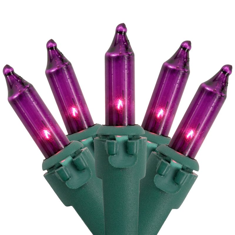 Northlight Mini Incandescent Christmas Lights - Purple - 10' Green Wire - 50ct
