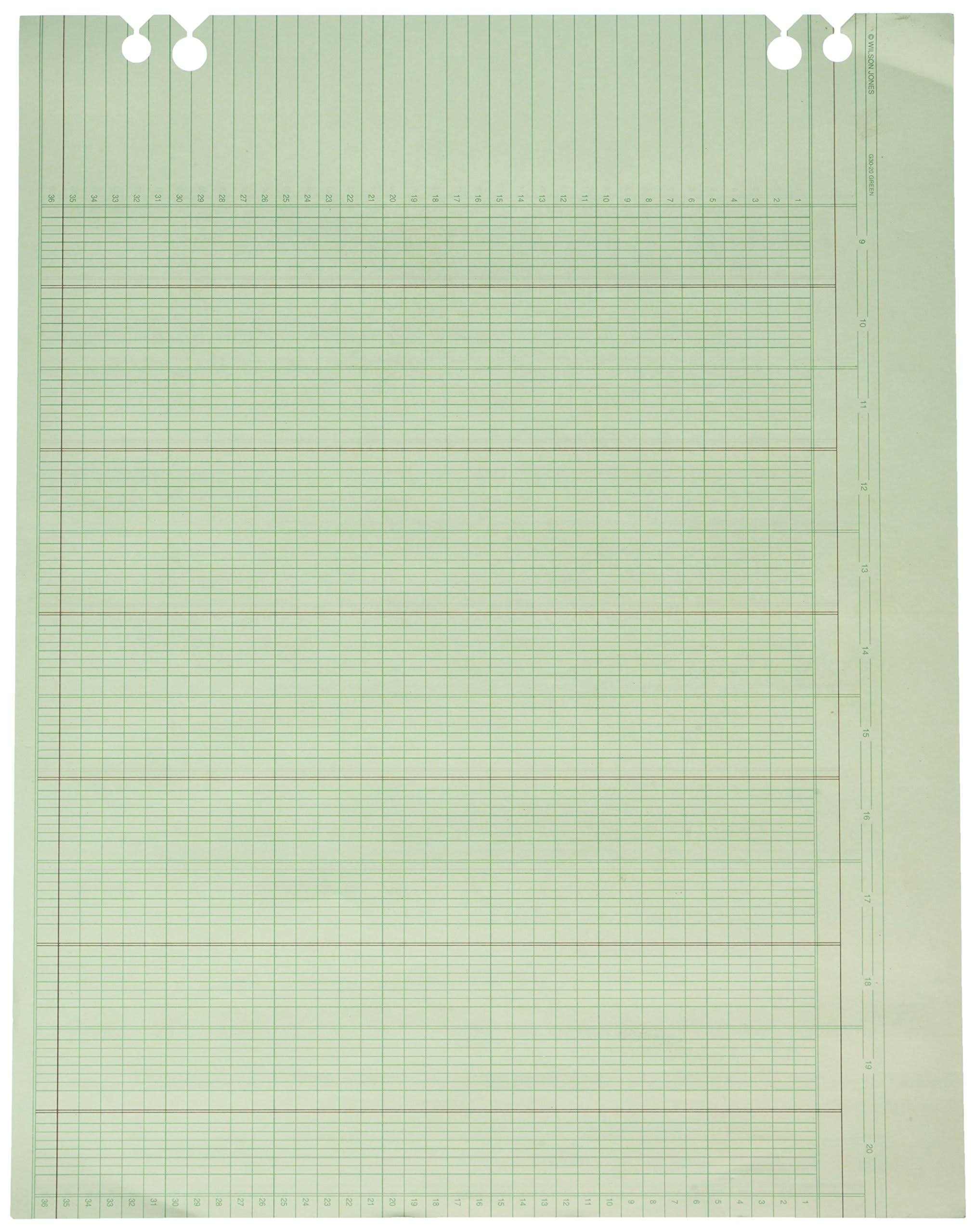 Wilson Jones - Accounting Sheets, 20 Columns, 11