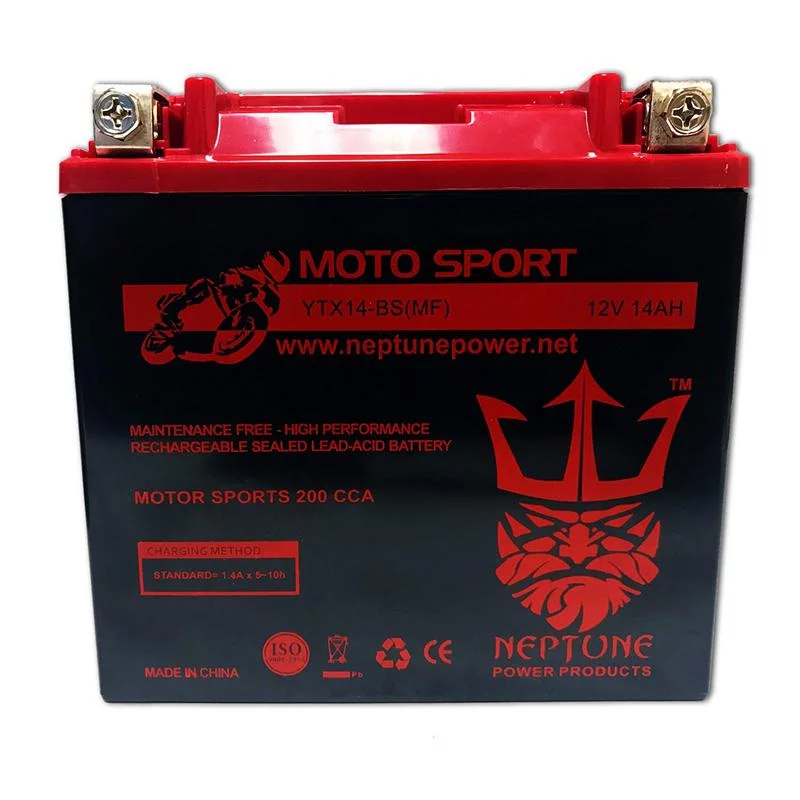 HONDA FL400R Pilot 1989-1990 YTX14-BS(MF) SLA Powersport Replacement Battery by Neptune