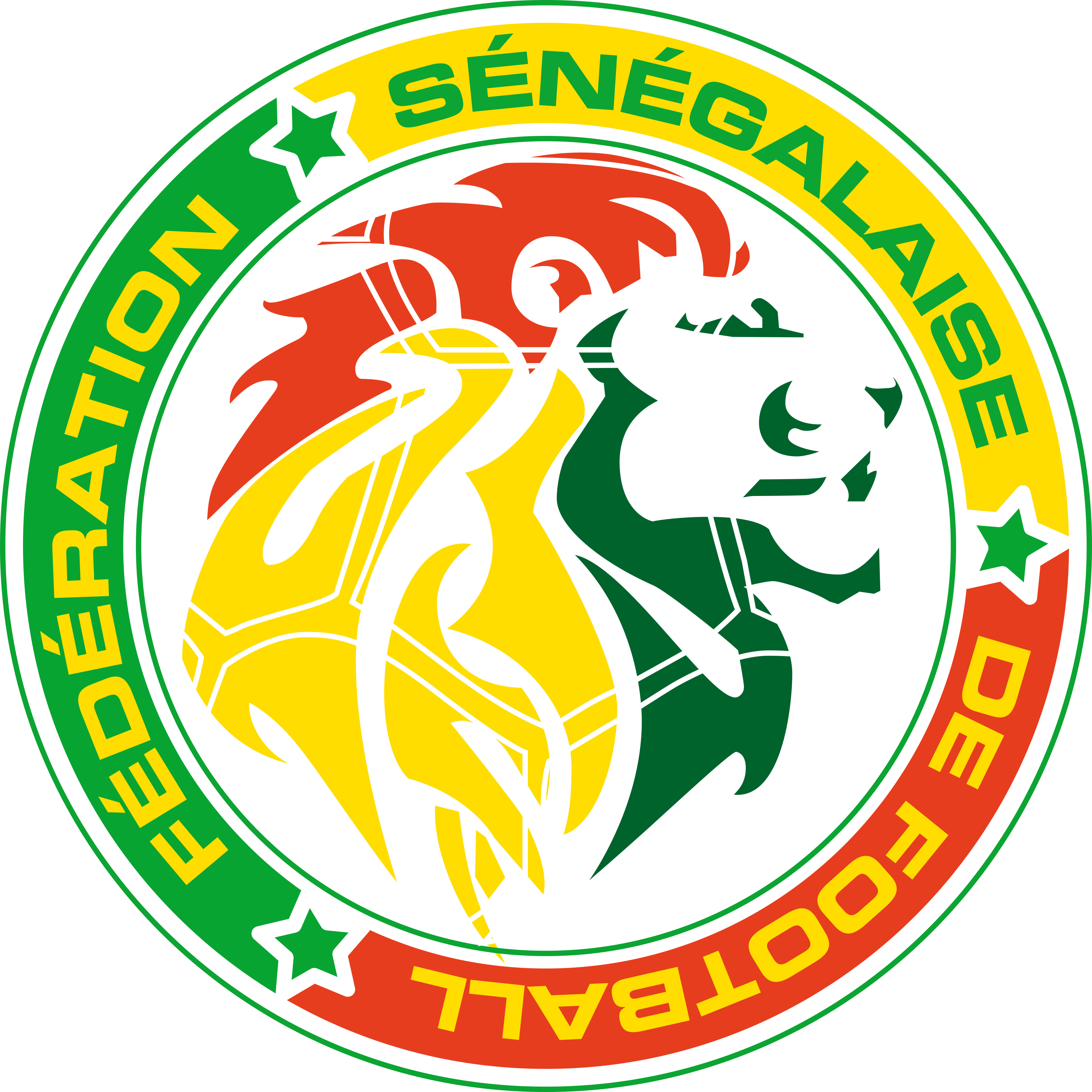 Senegal Jersey