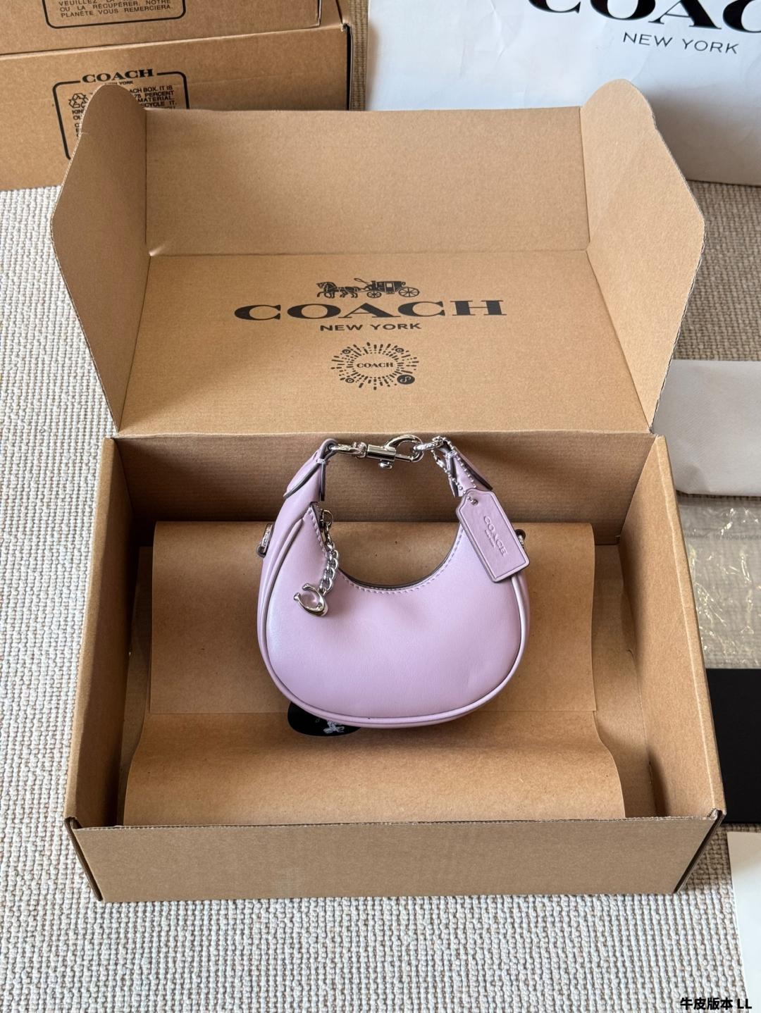 COACH mini crescent bag - cnluxepick