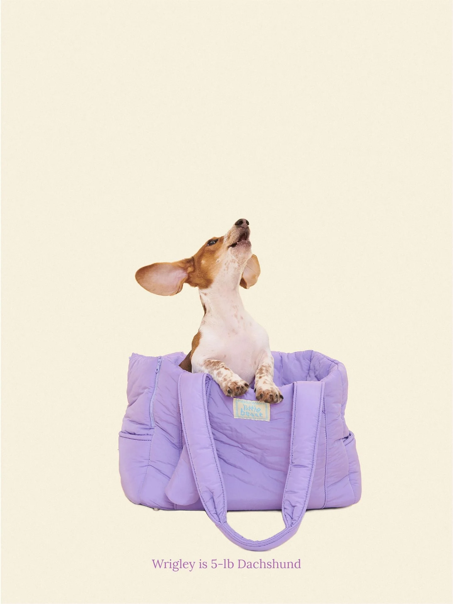 The Little Beast Carrier - Ube
