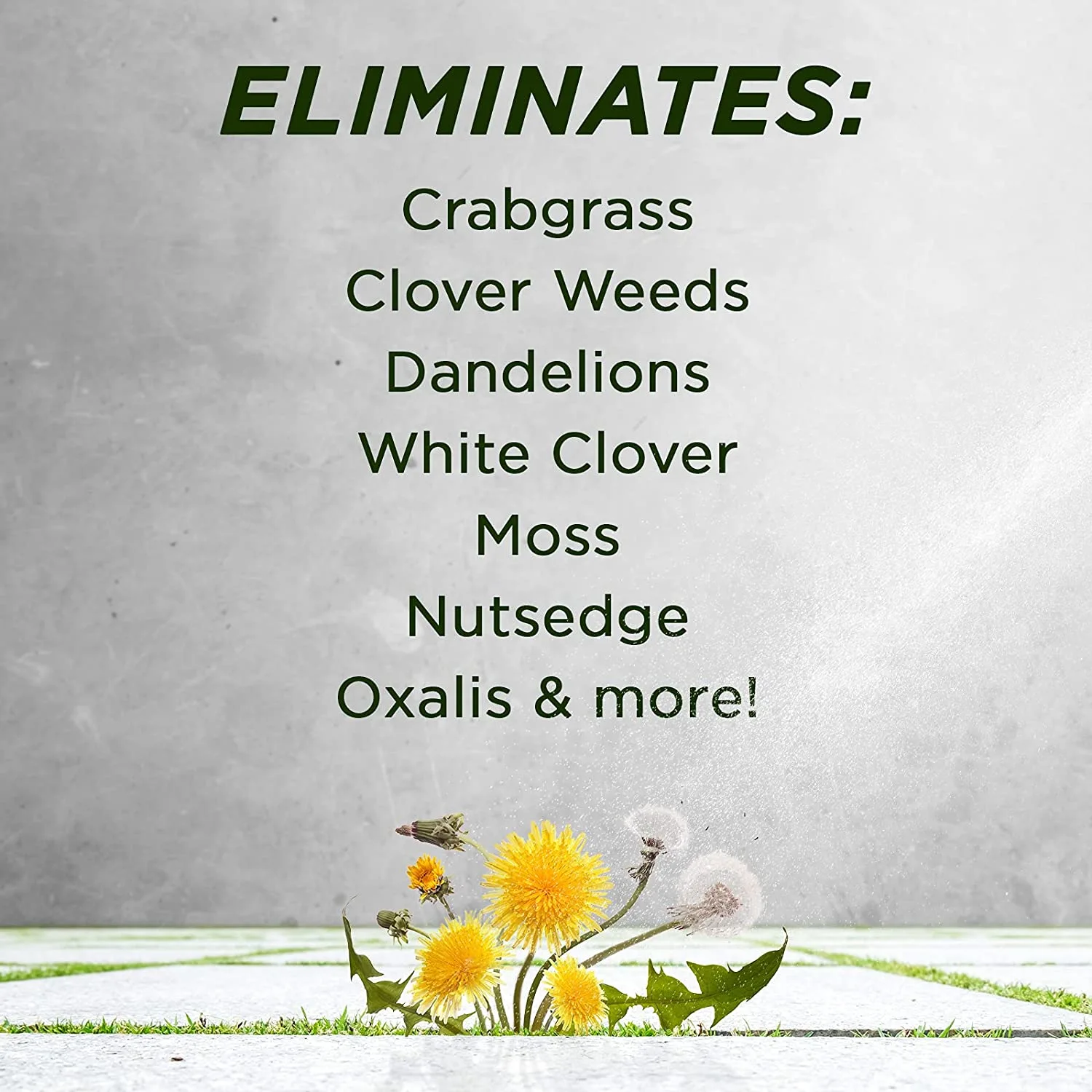 Green Gobbler 20% Vinegar Weed and Grass Killer ,1 Gallon Spray