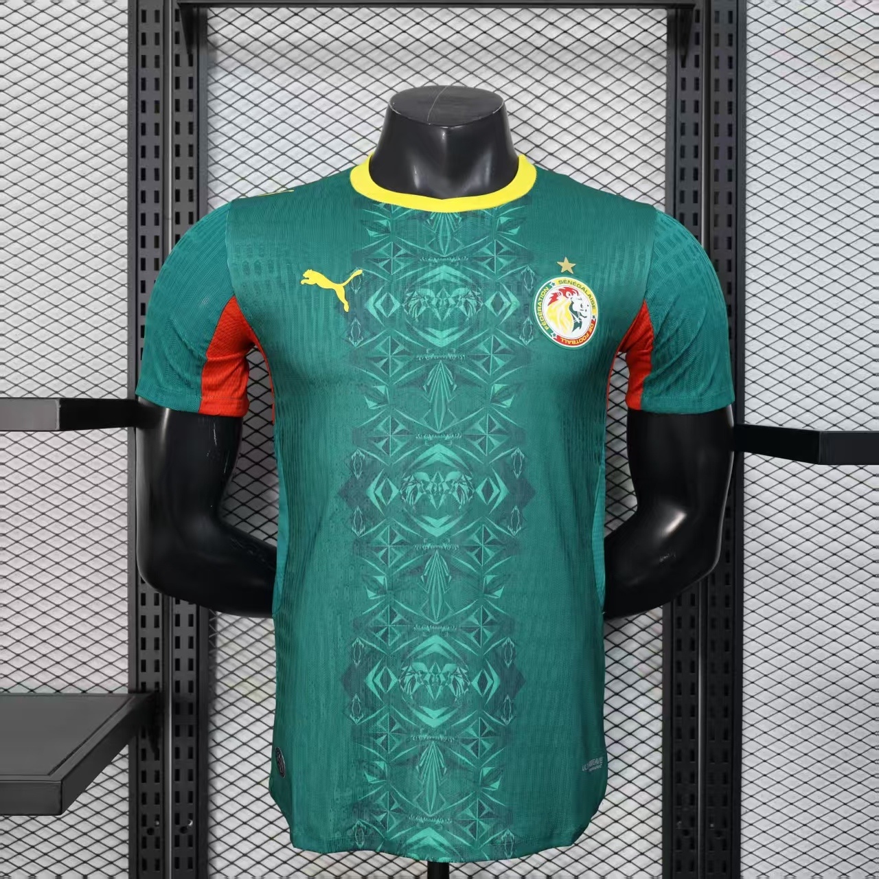 2026 Senegal player green