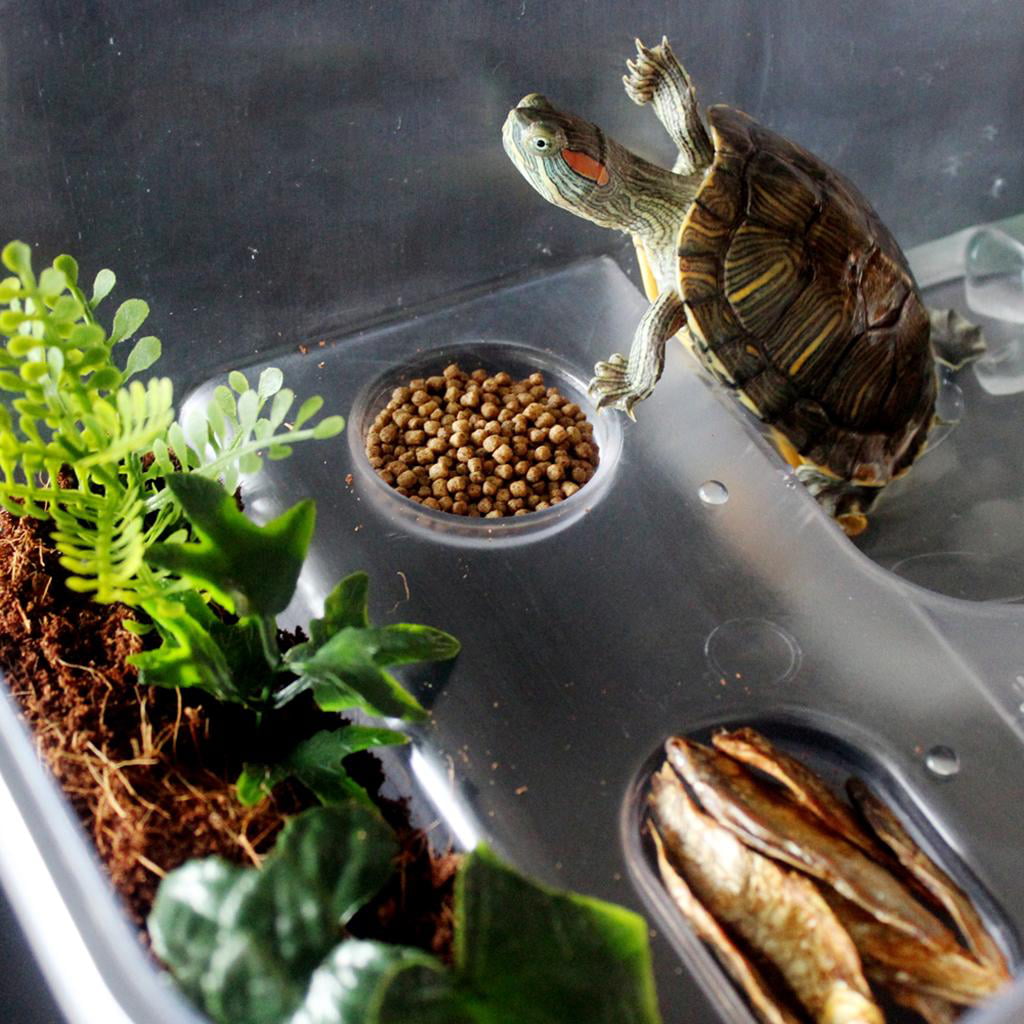 Deluxe Aquatic, Aquarium Box for Turtle Reptile Habitat Tank with Basking Ramp Platform Plants