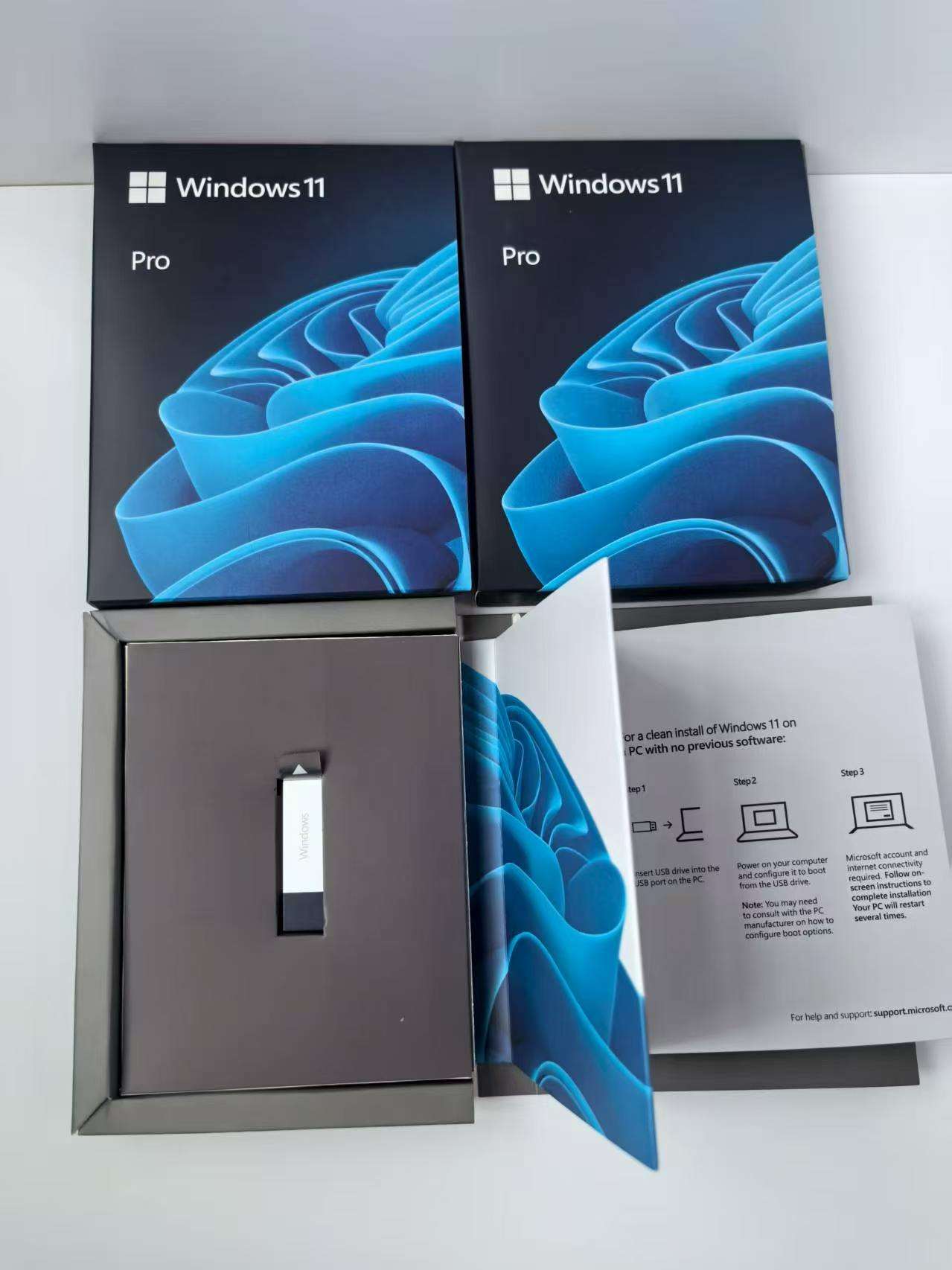 Windows 11 PRO  FPP USB Box